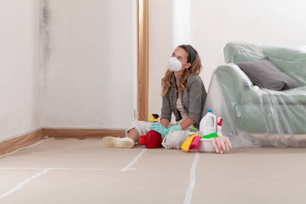 Reliable Mold Testing contractor in Franklin, GA by WQB Mold Removal